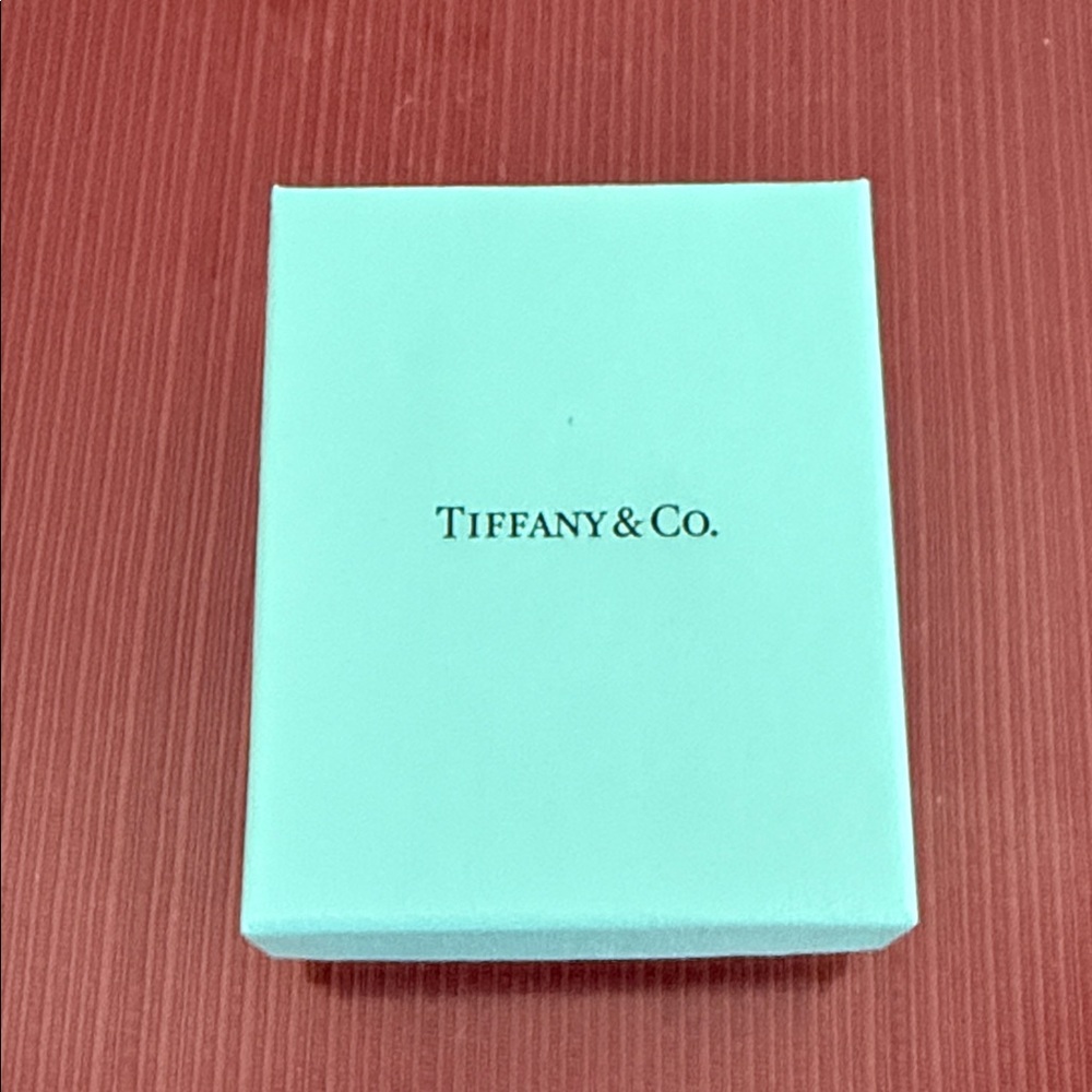 Tiffany & Co. Signature Robin's Egg Blue Gift Box